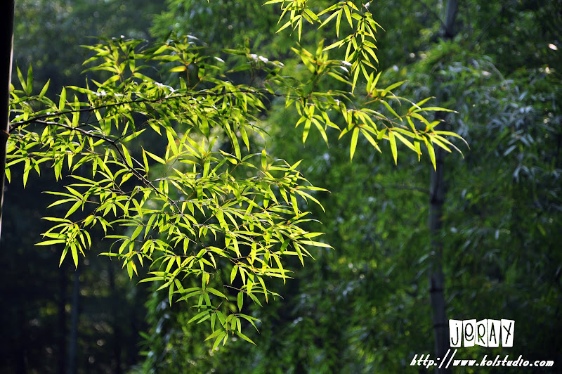 常州南山天目湖游玩 常州南山天目湖游玩