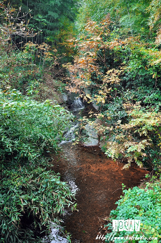 常州南山天目湖游玩 常州南山天目湖游玩