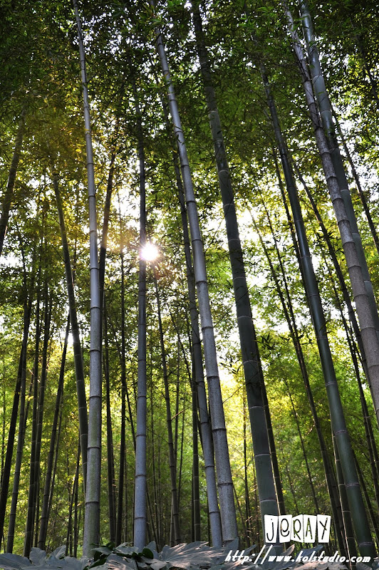 常州南山天目湖游玩 常州南山天目湖游玩