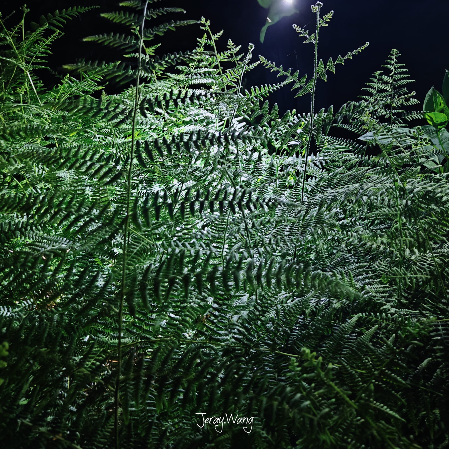 苏州潭山日落-小恐龙环线